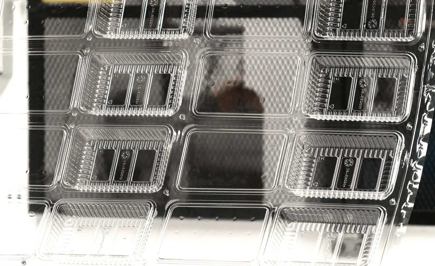 Termoformado proceso